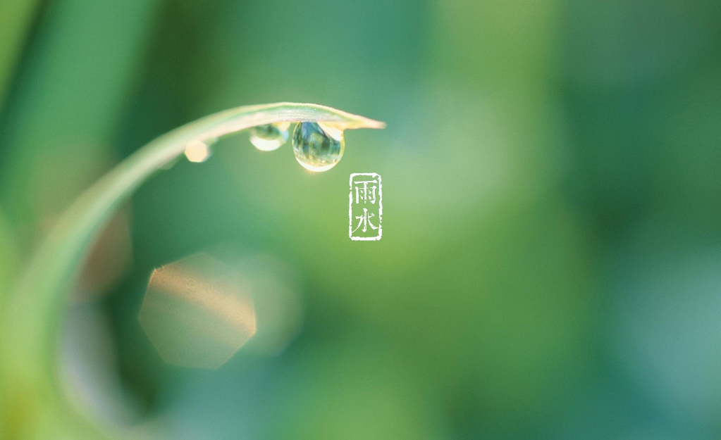 春雨的诗句有哪些（赞美春雨的优美句子）