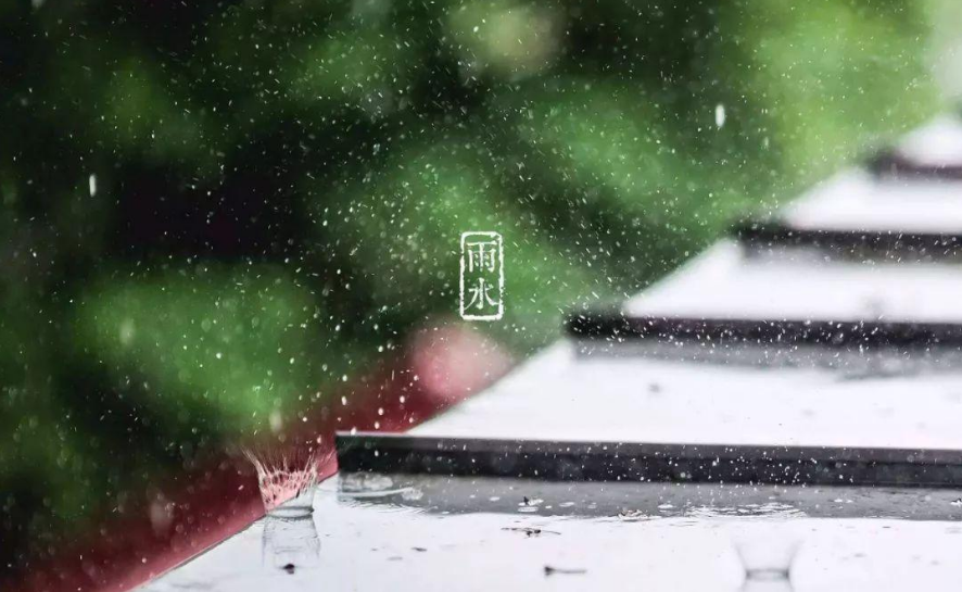 春雨的诗句有哪些（赞美春雨的优美句子）