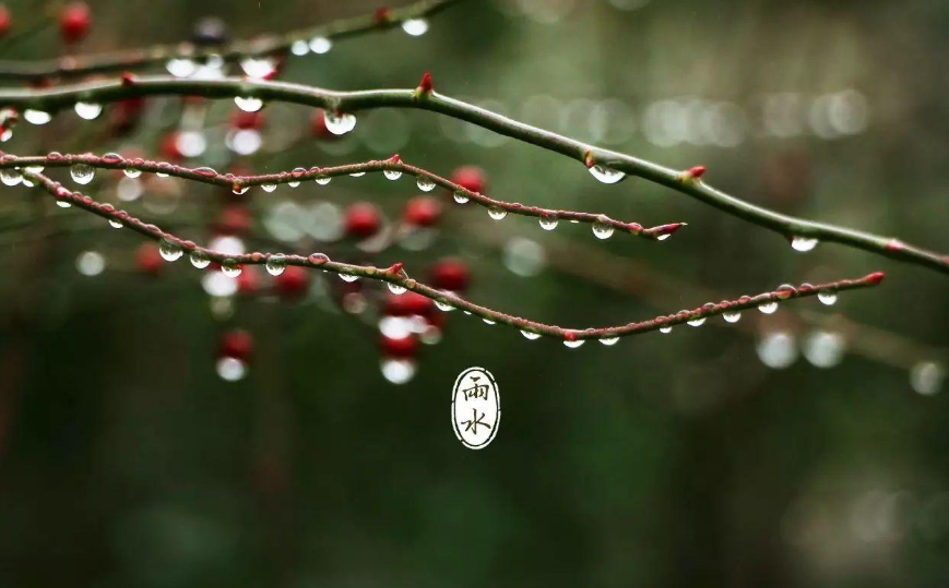 春雨的诗句有哪些（赞美春雨的优美句子）