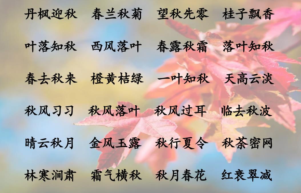 描写四季的成语和句子（四季景色的经典句子）