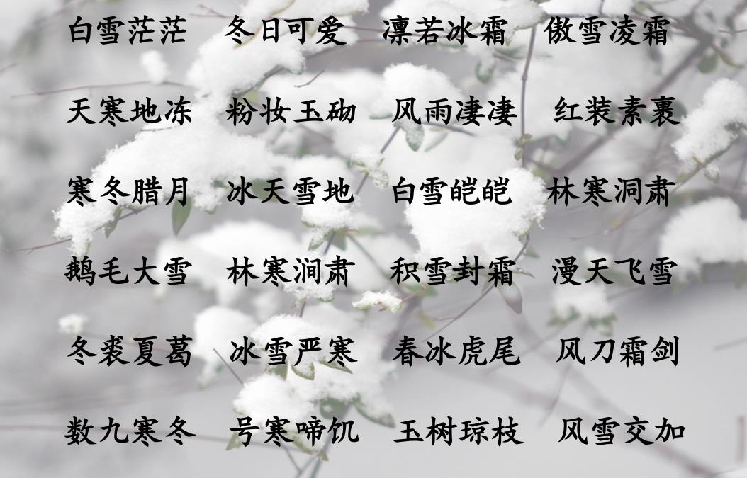 描写四季的成语和句子（四季景色的经典句子）