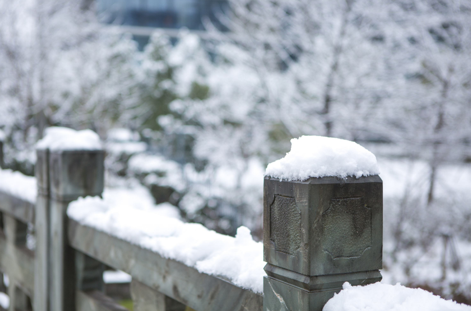 有关雪的诗句唯美（咏雪最好的八首诗词）