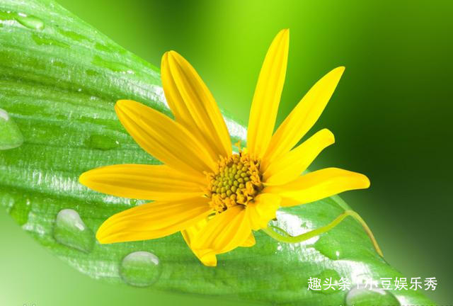 寓意未来很美好的诗句（展望未来的励志诗句 ）