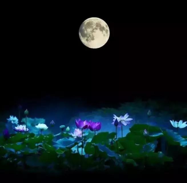 有月字的诗句（带月的诗词飞花令）