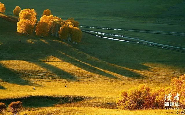 优美好句好段摘抄大全（抄写优美的好词好句）
