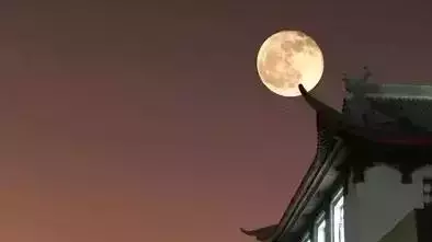 有月的诗句大全 古诗（关于明月的思乡诗）