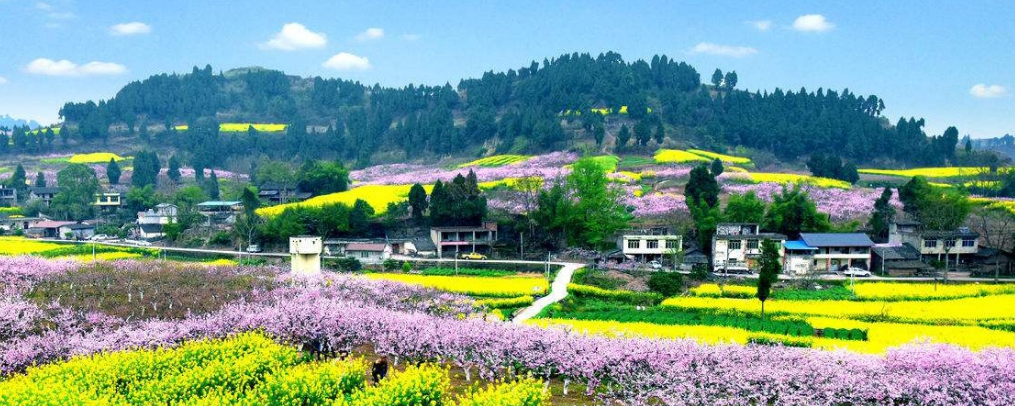 描写乡村景色的诗句（田园风光美景的诗句）