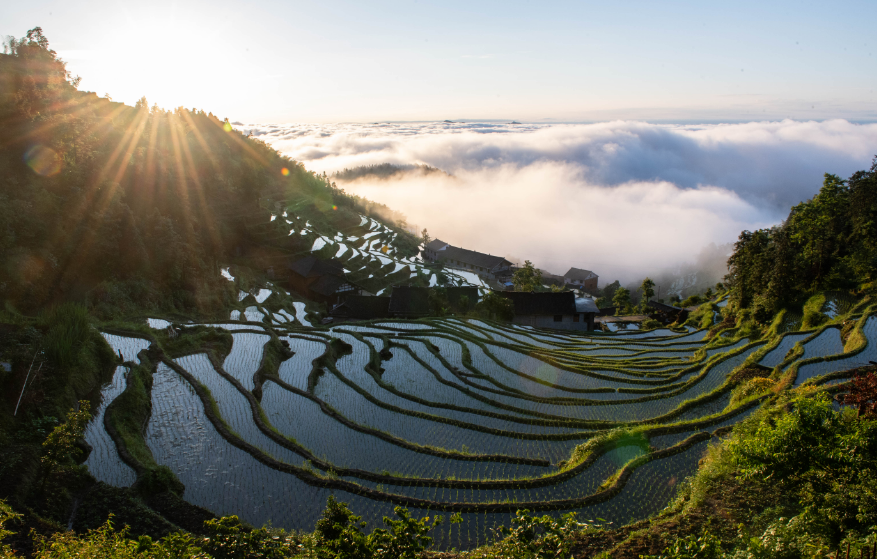 描写乡村景色的诗句（田园风光美景的诗句）