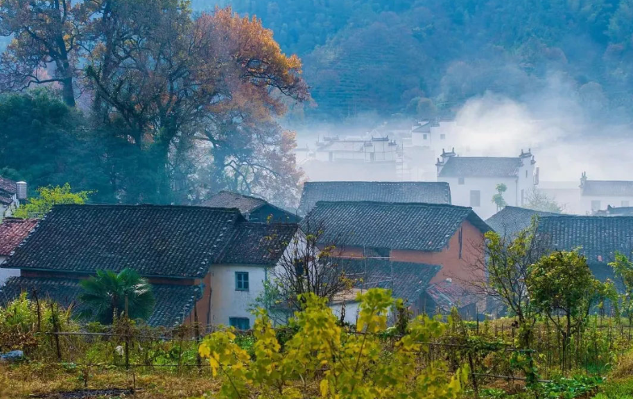描写乡村景色的诗句（田园风光美景的诗句）