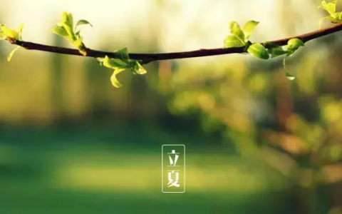 立夏诗句古诗大全（描写立夏的著名古诗）