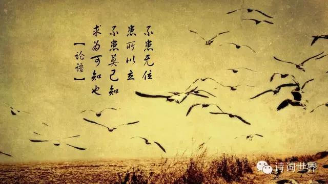 论语名言警句摘抄大全（最值收藏的百条名言感悟）