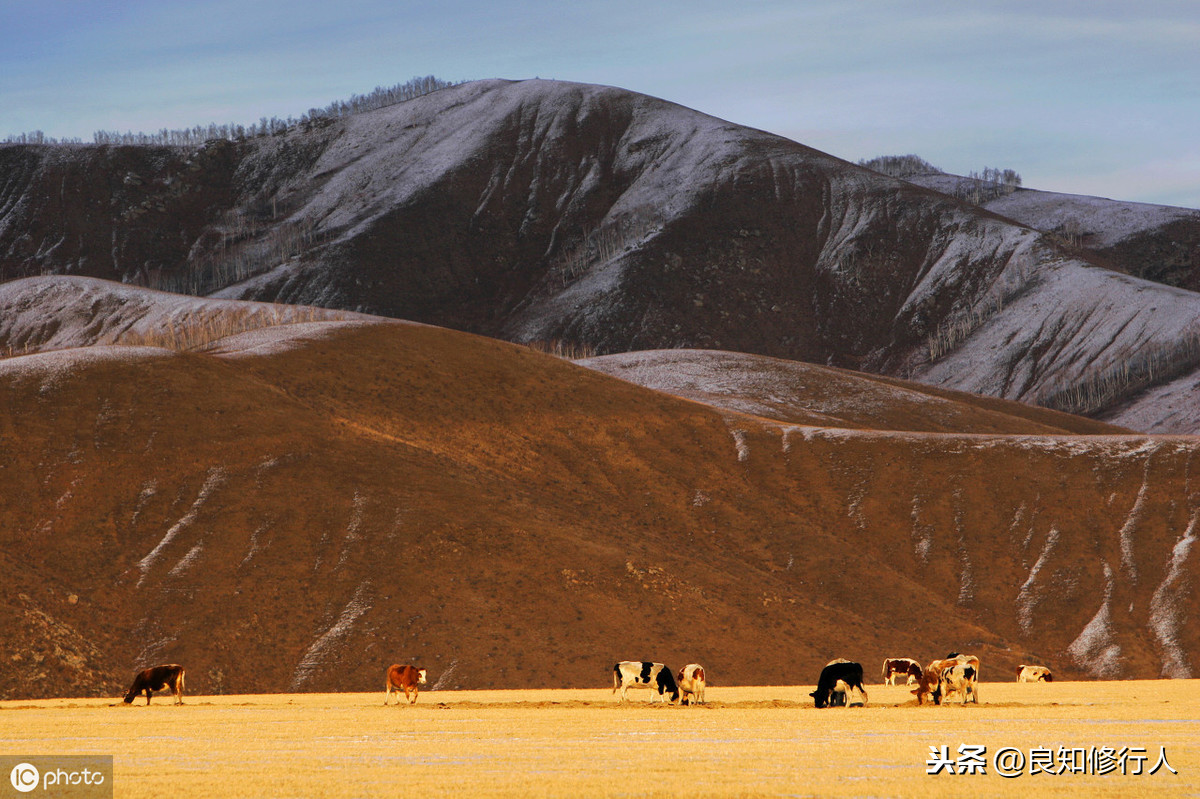 出塞其二王昌龄古诗（出塞其二翻译及注释）