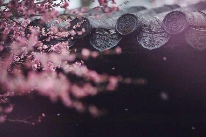 离别诗句表达离别情感与不舍（适合离别时发的朋友圈）