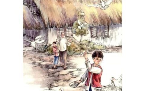 草房子好词好句摘抄赏析（草房子好词好句摘抄大全）