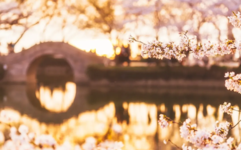 纳兰容若诗词鉴赏（生僻却美到爆的宋词 ）