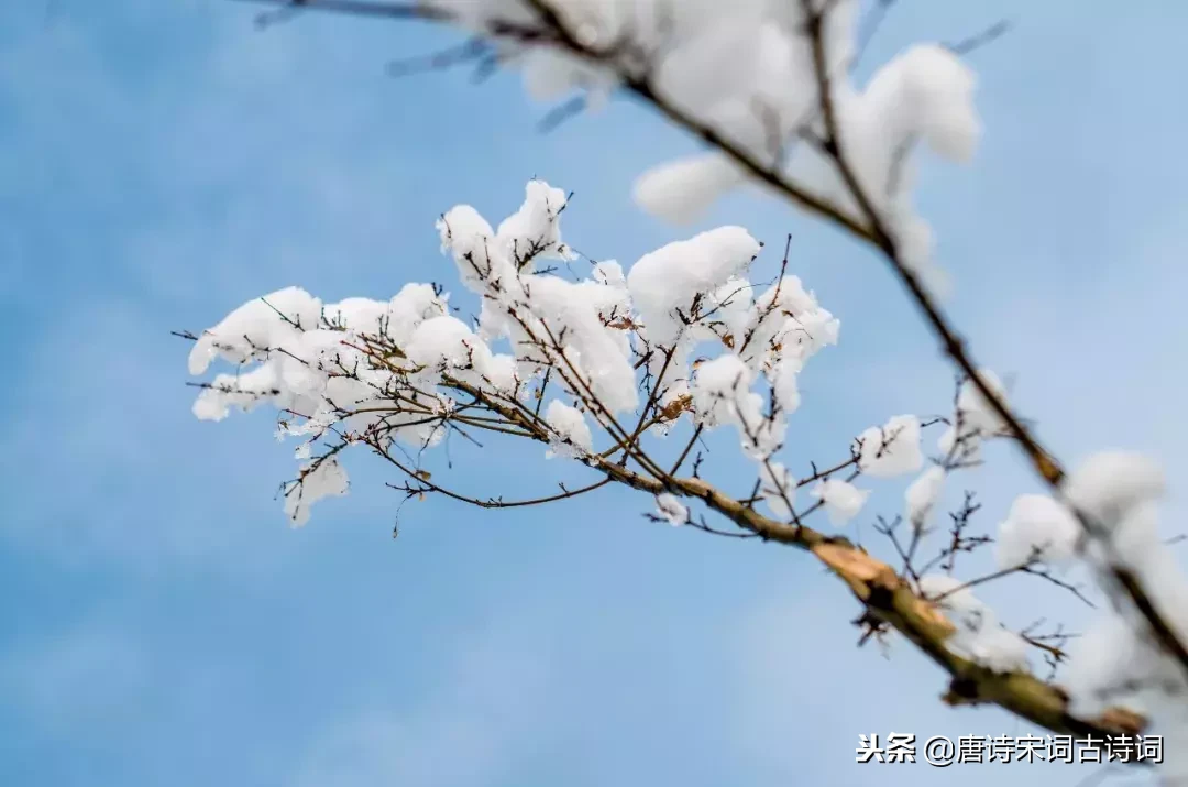 关于冬至的诗句有哪些（描写冬至节的10首诗句）