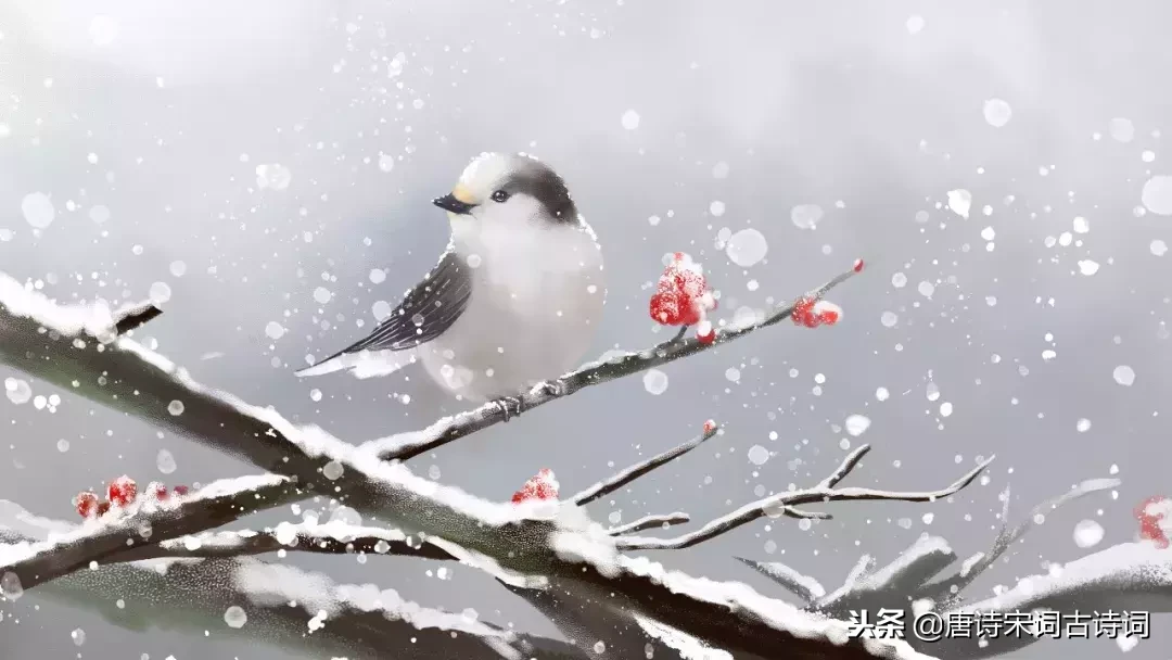 关于冬至的诗句有哪些（描写冬至节的10首诗句）