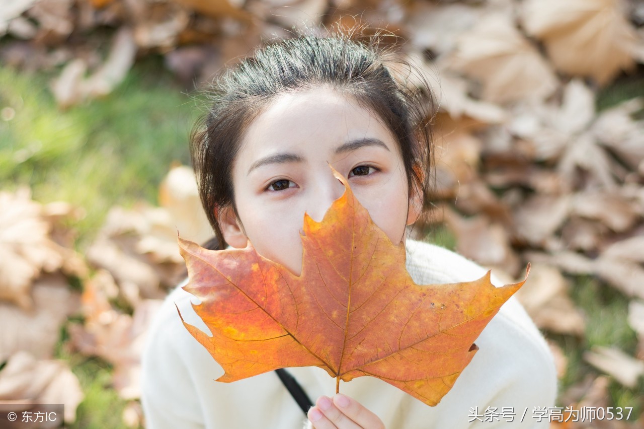 描写秋天景色的诗句有哪些（关于秋天的诗句 欣赏）