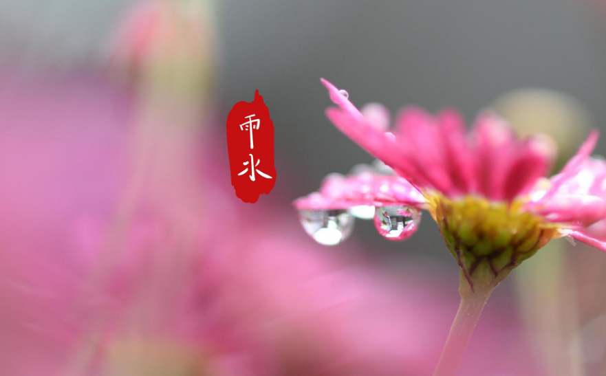 关于雨的诗歌（描写雨的现代诗简短）