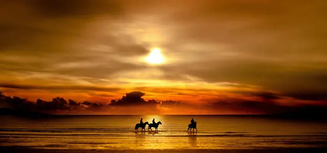 宋史赵普传文言文翻译（赵普迎帝文言文翻译及原文）