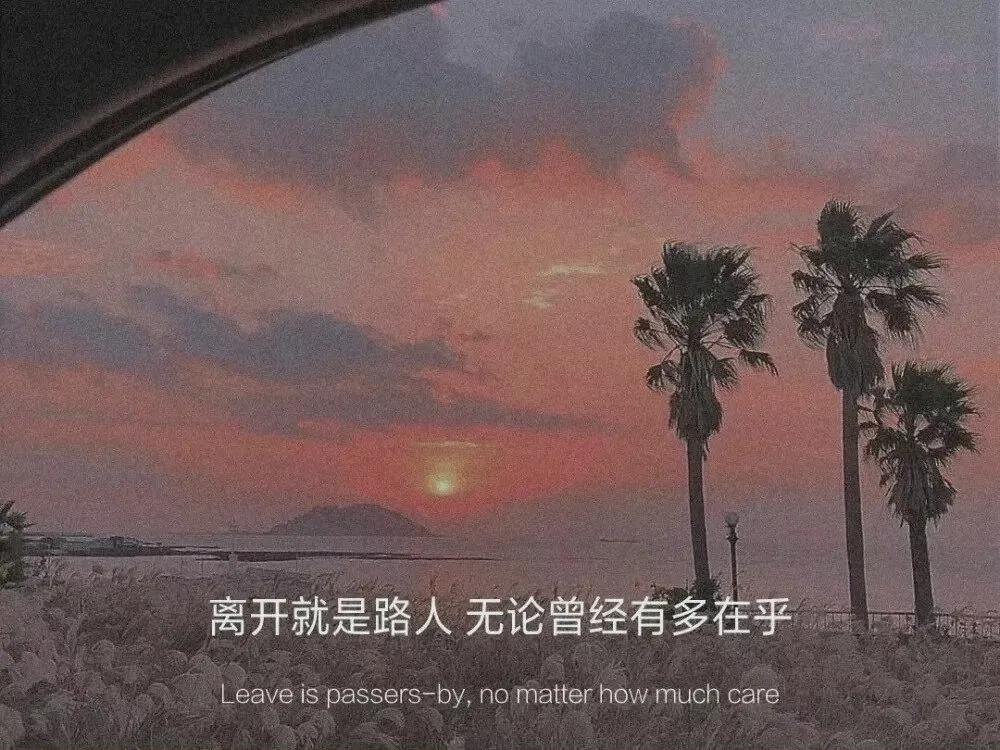 好段200字摘抄加赏析（名句名段摘抄赏析大全）