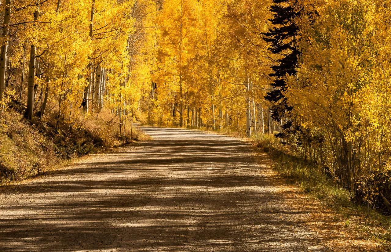 每日正能量激励短语（积极向上阳光励志短语）