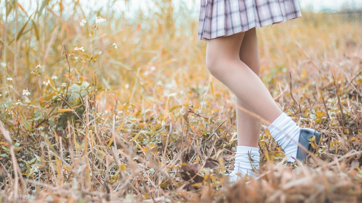 每日正能量激励短语（积极向上阳光励志短语）