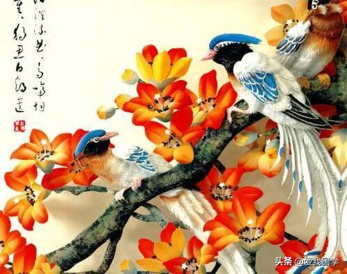 关于鸟的优美句子20字以上（10首咏叹花鸟的经典诗句）