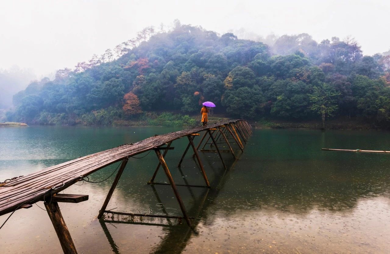 雨的诗句美好句子（关于听雨的唯美诗句）