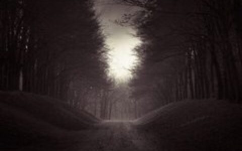 想念父亲的诗句经典语录（怀念父亲最经典的短语）