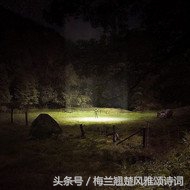 想念父亲的诗句经典语录（怀念父亲最经典的短语）