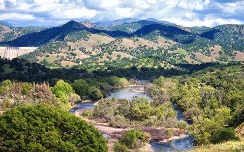 早上激励的正能量的话（早上励志的话正能量句子）