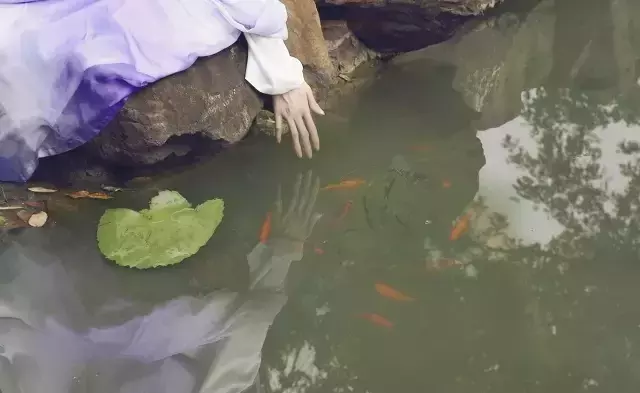 三月三的古诗有哪些（关于三月三诗词歌鉴赏）