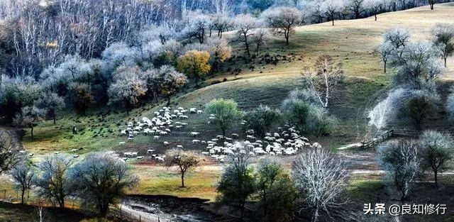 描写秋天的诗词有哪些（关于秋天的唯美诗句）