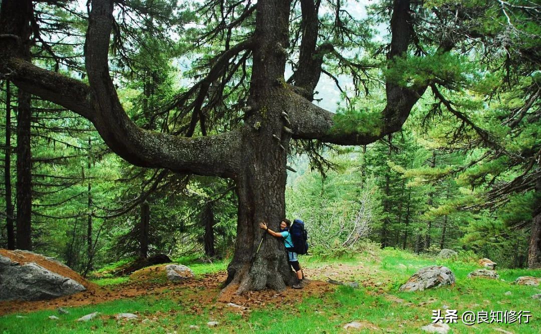 描写秋天的诗词有哪些（关于秋天的唯美诗句）
