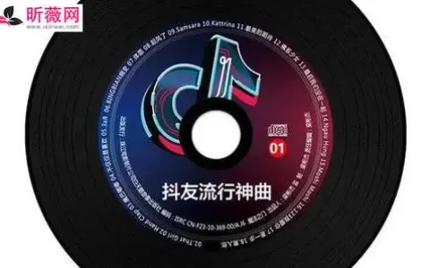 抖音最火夜深人静的歌词是什么（适合夜深人静发的短句伤感）