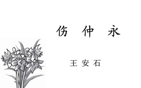 伤仲永译文及注释（伤仲永重点知识归纳）