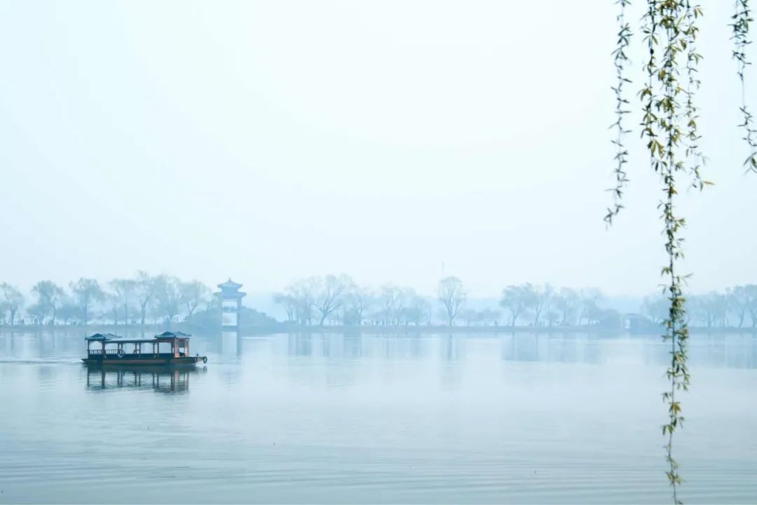 关于春雨的诗句（关于春雨的古诗句子）