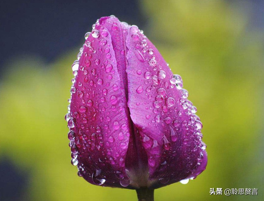 古代祝女子生辰诗词（生日赠言古风八个字）