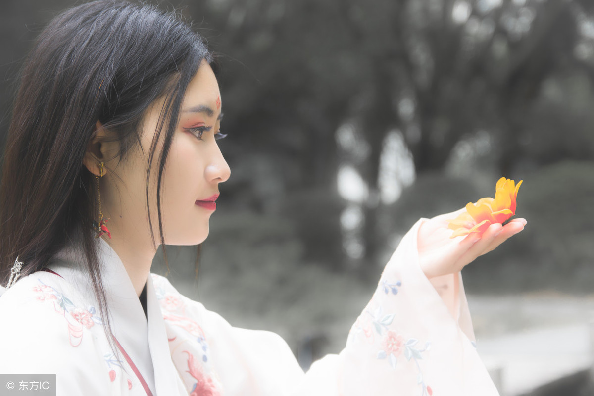 形容爱情的成语有哪些（表达爱意浪漫的四字词语鉴赏）