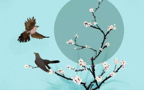 杏花诗句经典名句（关于杏花的优美古风句子）