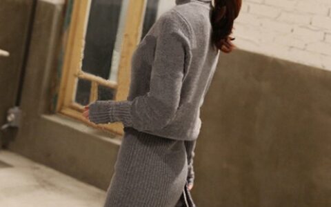 经典魅力包臀裙