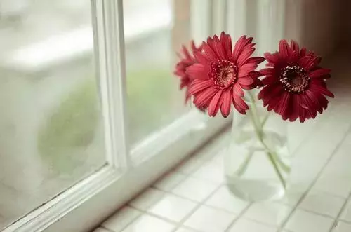 告别的句子最走心的话（20条最走心的一句话经典心情语录）