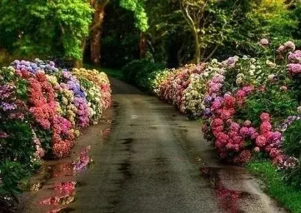 告别的句子最走心的话（20条最走心的一句话经典心情语录）