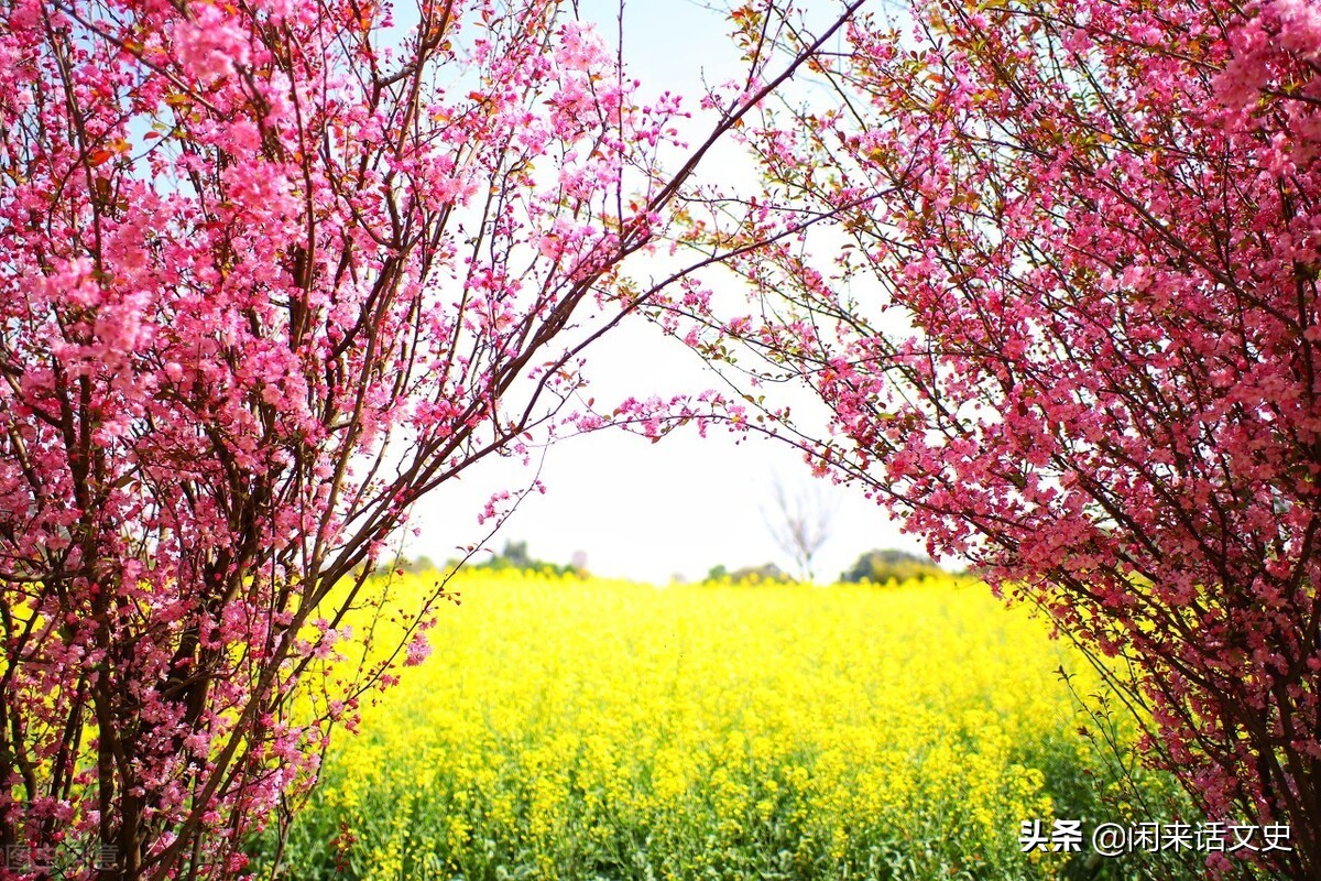 关于春天的宋词有哪些（描写春天的宋词分享）