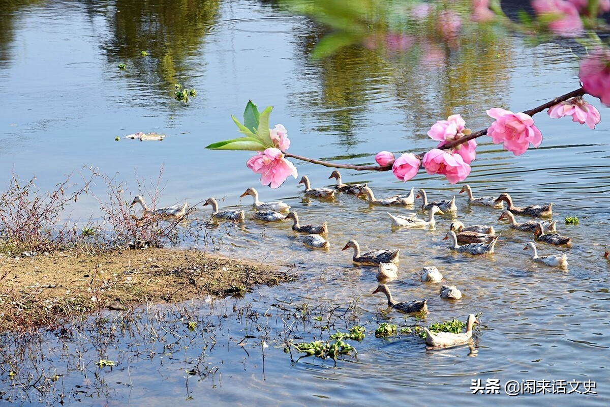 关于春天的宋词有哪些（描写春天的宋词分享）