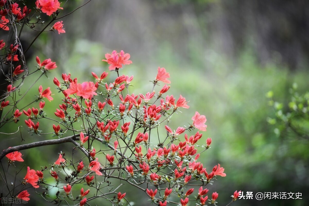 关于春天的宋词有哪些（描写春天的宋词分享）