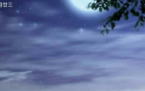 忧伤的诗句关于爱情（对爱情失望心寒的古诗）