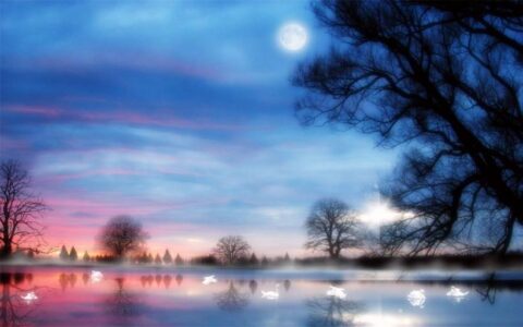 有关明月的诗句有哪些（赞美明月的唯美诗句）