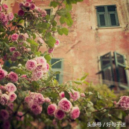 佛说人生感悟的句子简短（适合发朋友圈的佛系句子）